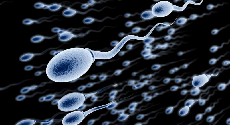 Düzelen Sperm Hareketliliği