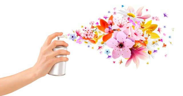 Tiner Kokusu Evden Nasıl Çıkar?