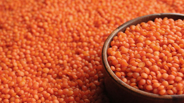 Kurtlu Mercimek Nasıl Anlaşılır?