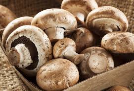 Mantar Kaç Dakikada Pişer?