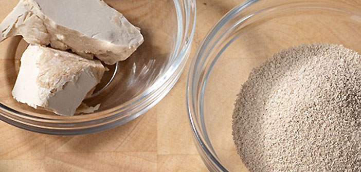 Yaş Maya Nasıl Saklanır?