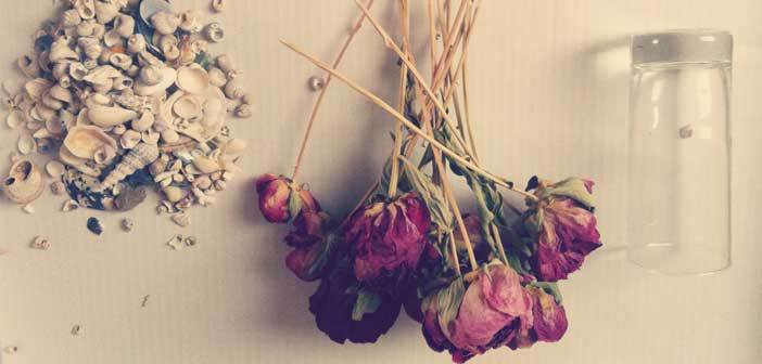 Kurumuş Çiçekler Nasıl Değerlendirilir?