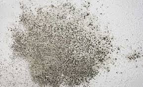 Küf Lekesi Kumaştan Nasıl Çıkar?