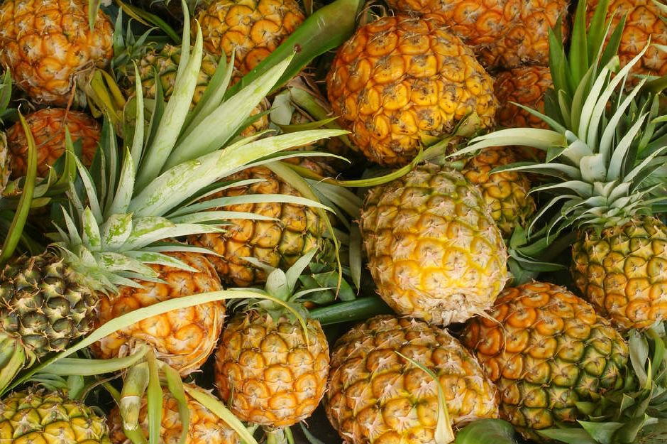 Ananas Nasıl Olgunlaştırılır?