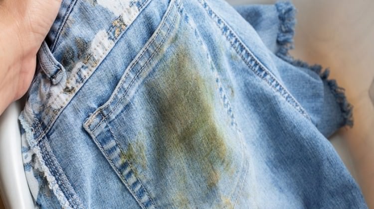 Çimen Lekesi Kottan Nasıl Çıkar?