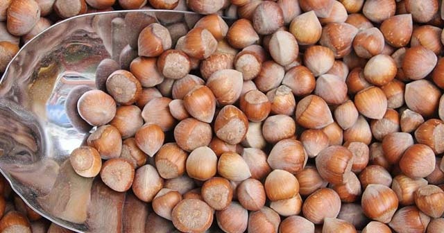 Fındık Kabuğu Nasıl Soyulur?