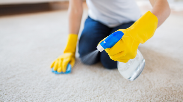 Domates Lekesi Halıdan Nasıl Çıkar?