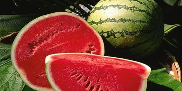 Karpuz Lekesi Nasıl Çıkar?