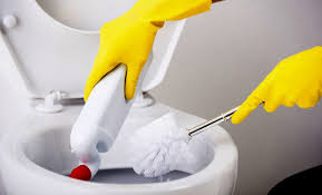 Sararmış Klozet Kapağı Nasıl Temizlenir?