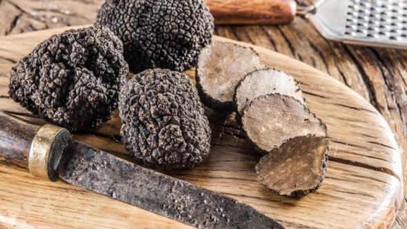 Trüf Mantarı Nasıl Saklanır?