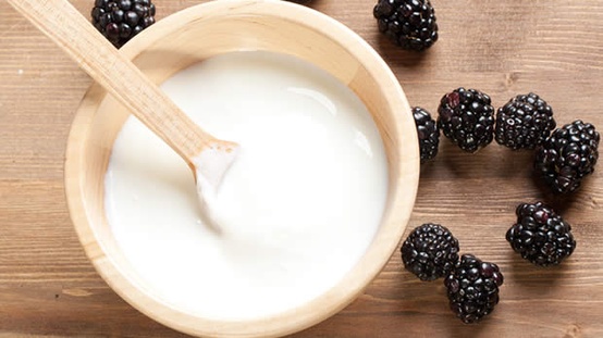 Yoğurt Neden Ekşi Olur?